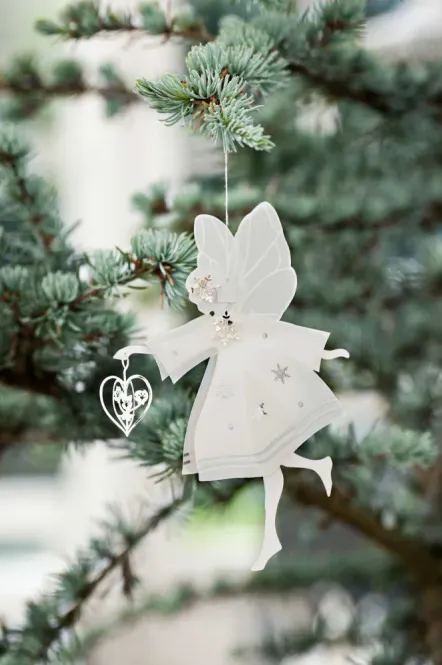 Hovedbilde Jette Frölich, papriklipp, hjertefe