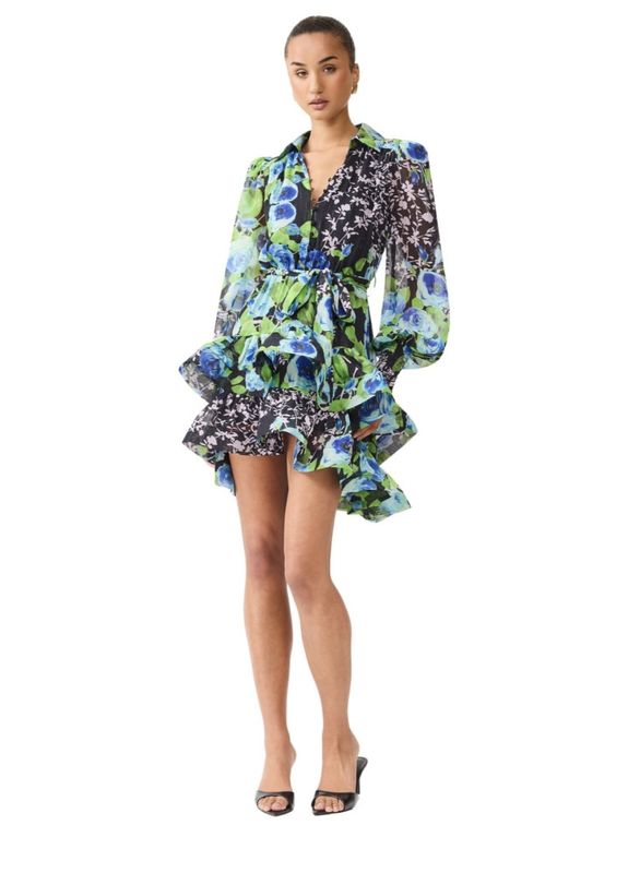 Elliatt Briony long sleeves mini dress, multicolor