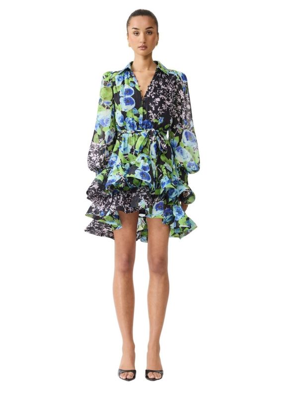 Elliatt Briony long sleeves mini dress, multicolor