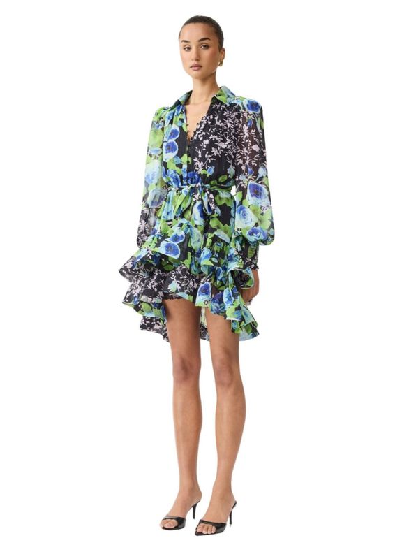 Elliatt Briony long sleeves mini dress, multicolor